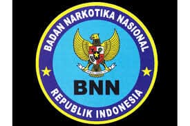 BNN KOTA BITUNG FOR TORANG ORANG BITUNG BNN KOTA BITUNG FOR TORANG ORANG BITUNG